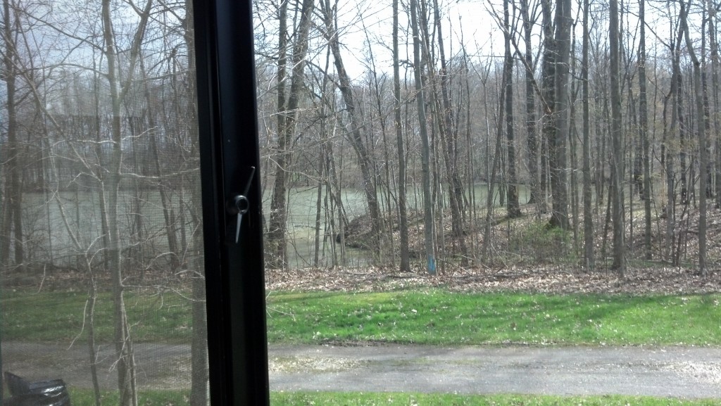 View out the coach window. Ahhh.