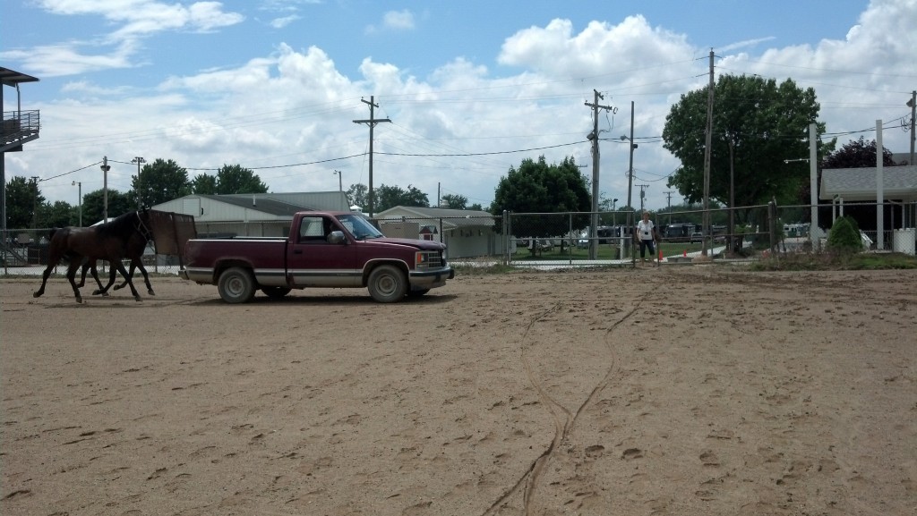 Horse training!!