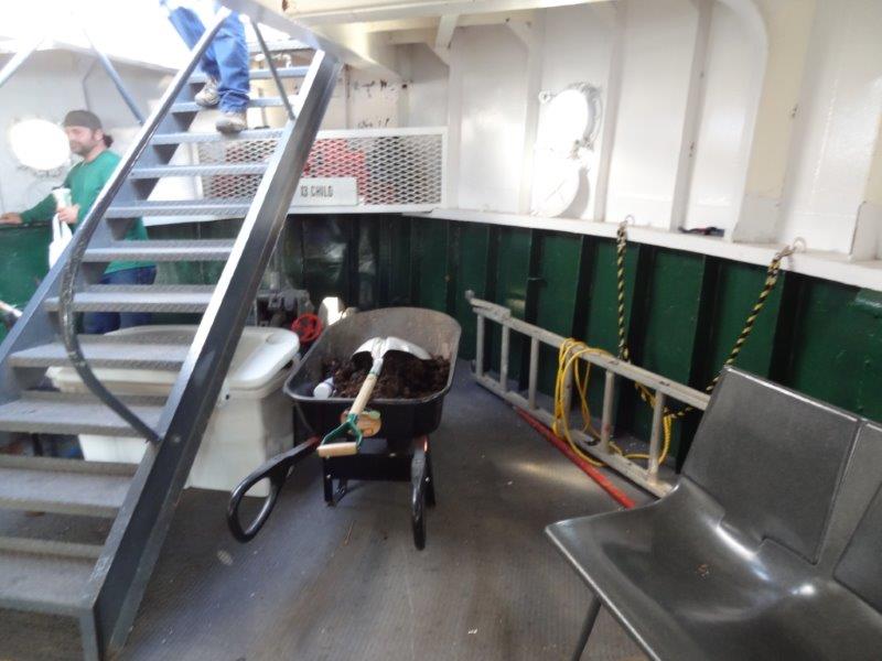 Proof that horses are also transported on these ferry. These "Road Apples" in the wheel barrel were from the horses that were on the ferry the day before.