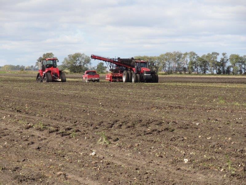 The beet lifter, it "lifts" the beets out of the ground after the tops have been removed.