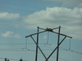 DSC03798