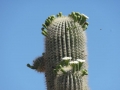 DSC04792.jpg