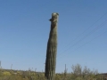 DSC04793.jpg