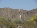 DSC04834.jpg