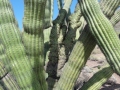 DSC04838.jpg