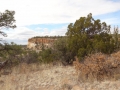 DSC04621.jpg