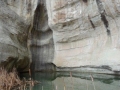 DSC04627.jpg