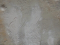 DSC04630.jpg