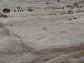 DSC04631.jpg