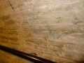 DSC04699.jpg