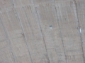 DSC04708.jpg
