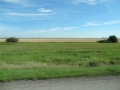 DSC03857