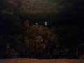 2014-09-02 10.52.44