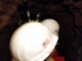 2014-09-02 11.01.52