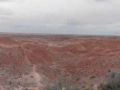 DSC04637.jpg