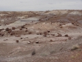 DSC04650.jpg