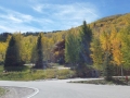 2014-10-03 13.35.26