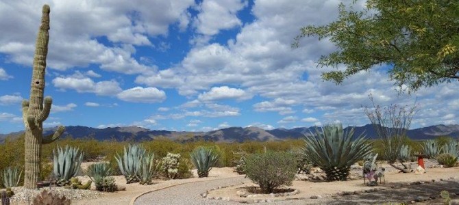 Congress to Yuma