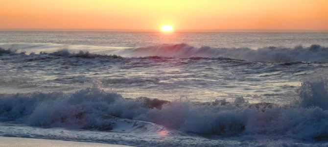 Assateague Island Assateague Island