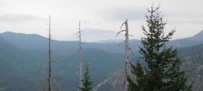 Mt. Saint Helens…again