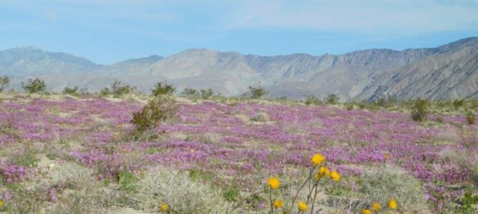 Anza-Borrego Desert State Park Anza-Borrego Desert State Park