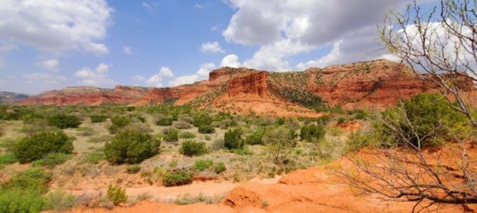 Canyons and Bison Canyons and Bison
