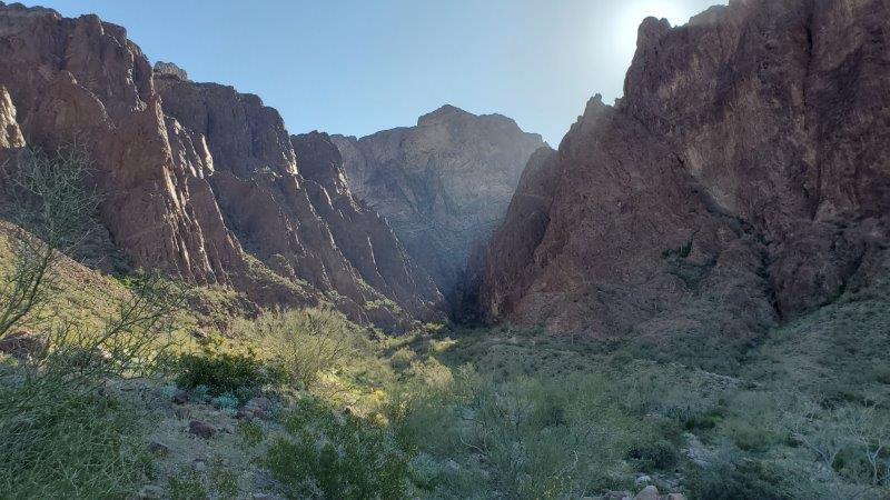 18 days in the desert