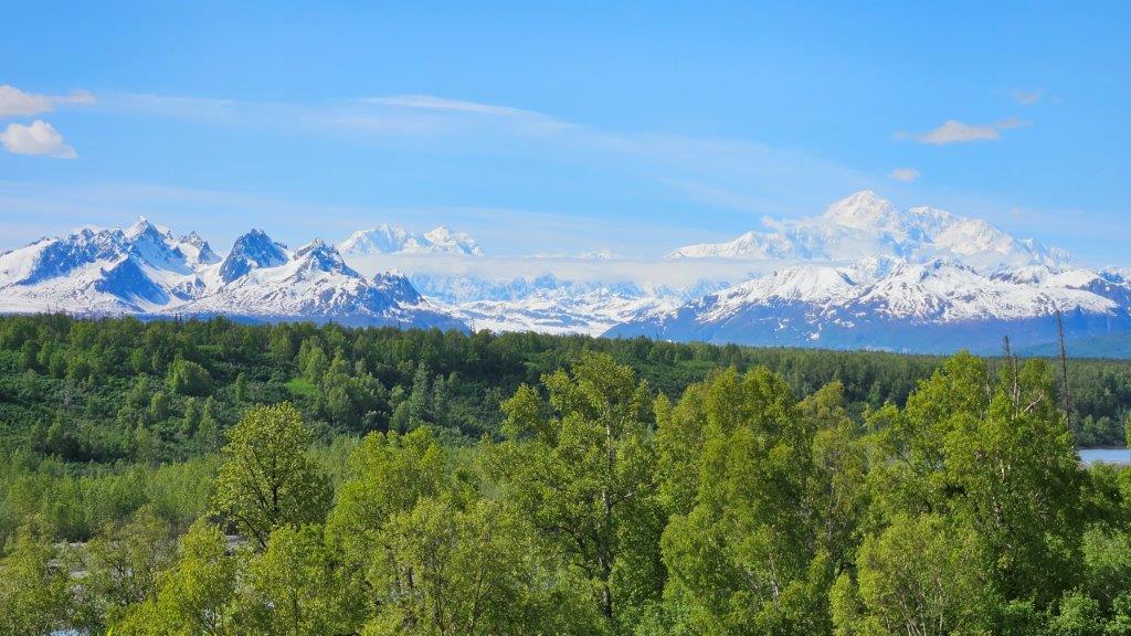 Denali National Park