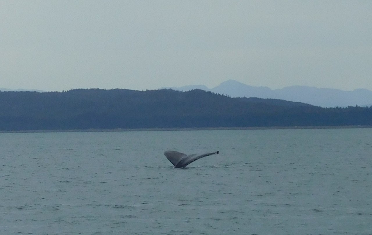 The Inside Passage