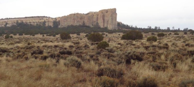 New Mexico